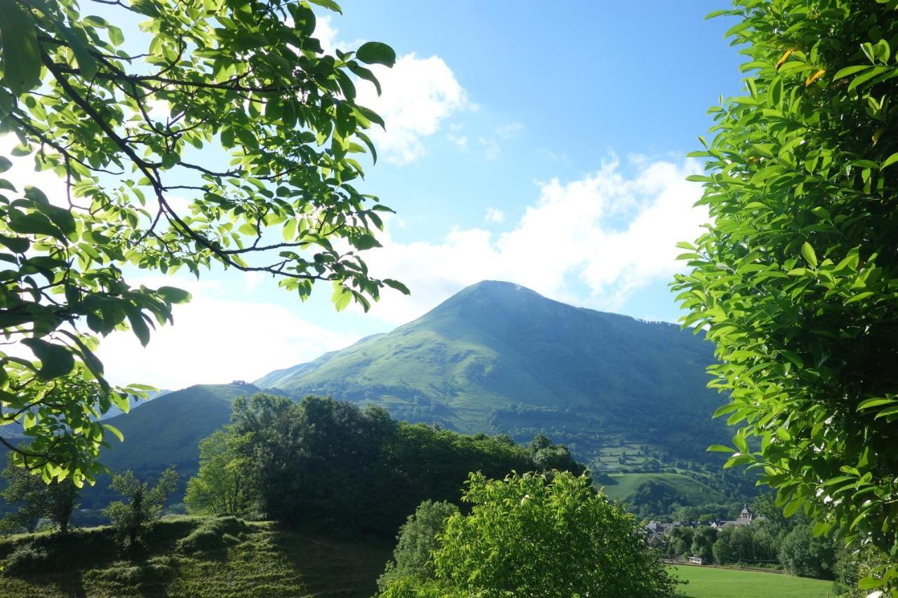 Gite Montagne Et Vie Bedous Buitenkant foto