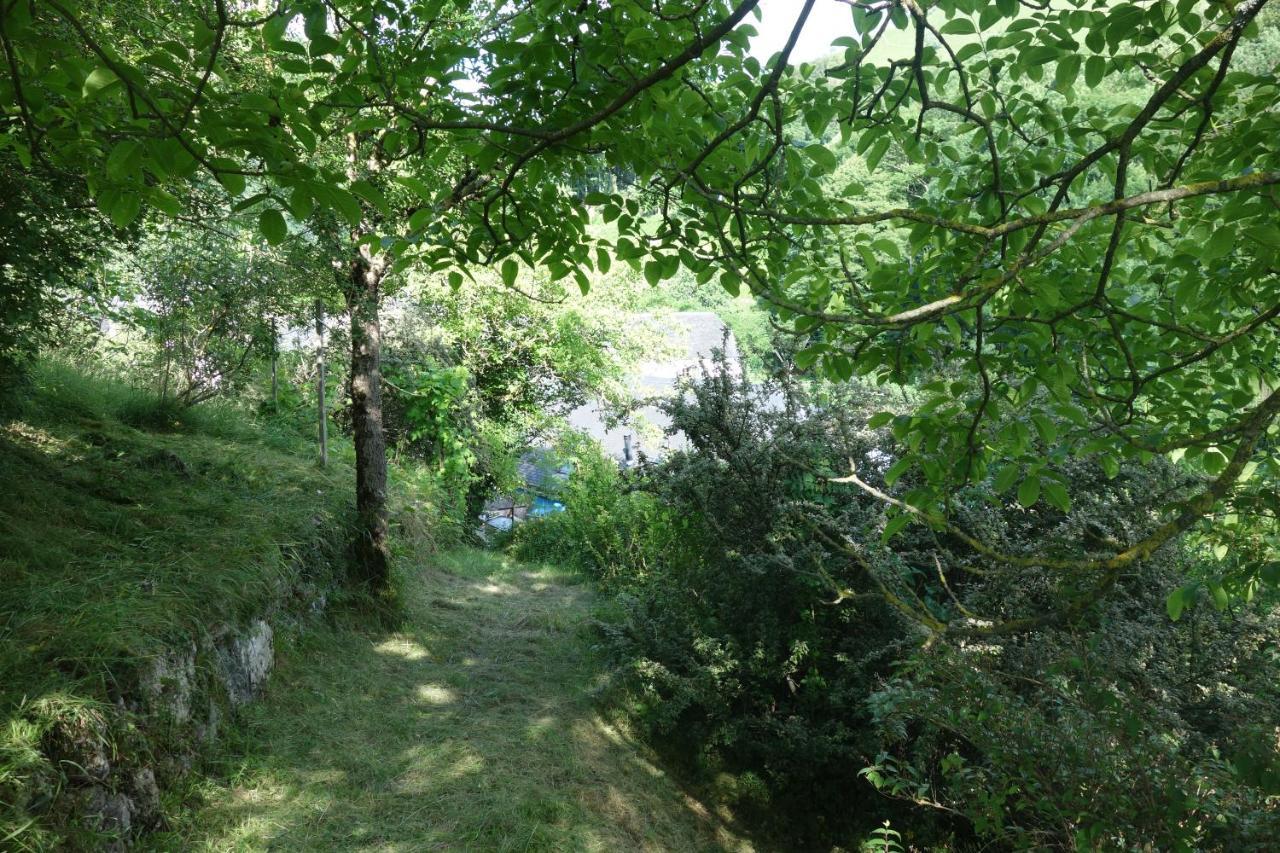 Gite Montagne Et Vie Bedous Buitenkant foto