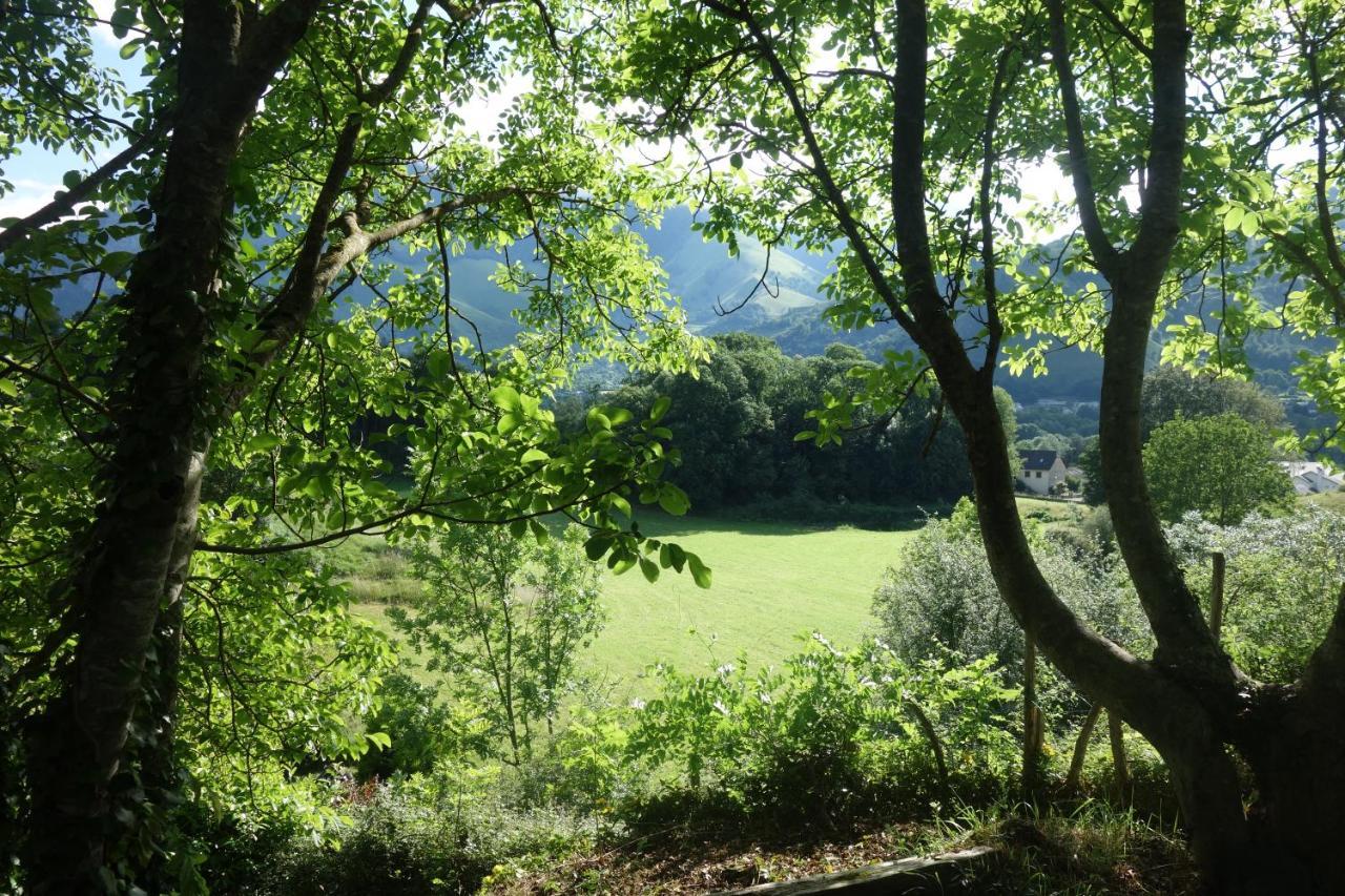 Gite Montagne Et Vie Bedous Buitenkant foto